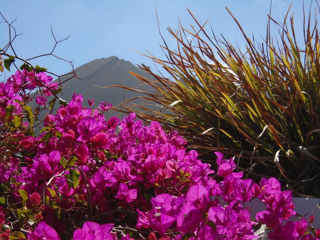 El Cortijo Eco Finca Ξενοδοχείο Ye Εξωτερικό φωτογραφία