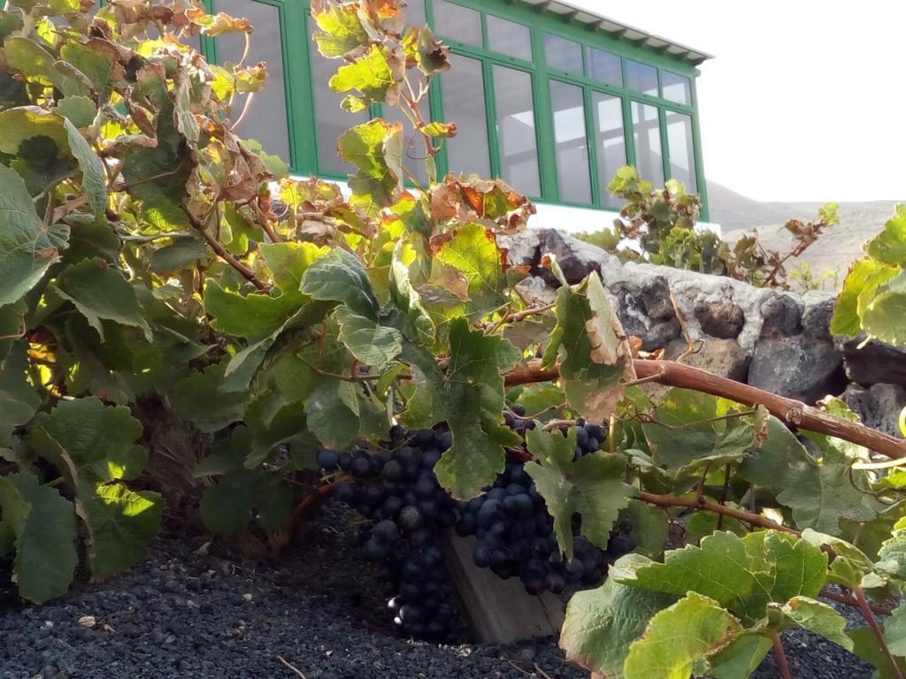 El Cortijo Eco Finca Ξενοδοχείο Ye Εξωτερικό φωτογραφία